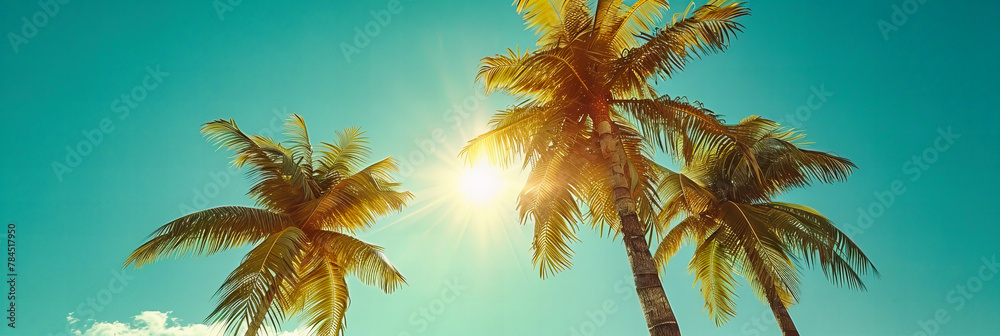 Retro Toned Sunset at a California Beach with Palm Trees, Vibrant Sky and Ocean View Retro Toned Sunset at a California Beach with Palm Trees, Vibrant Sky and Ocean View