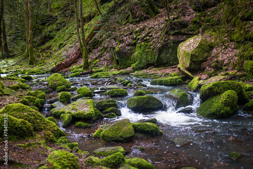 German Nature Black Forest Zavelstein Bad Teinach Germany