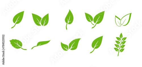 Green leaf icons set. Elements design for natural, eco, vegan. Leaves icon on isolated background. Collection green leaf. Vector