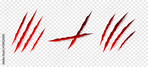 Claws scratches - vector isolated. Claws scratches animal claw tracks cat or tiger bear or lion attack nails scratches. Horror, halloween monster. Vector