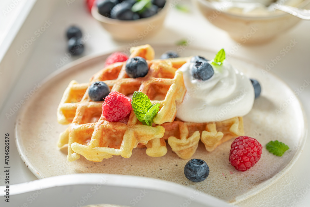Fresh and tasty waffles with with whipped cream and berries. Fresh and tasty waffles with with whipped cream and berries.