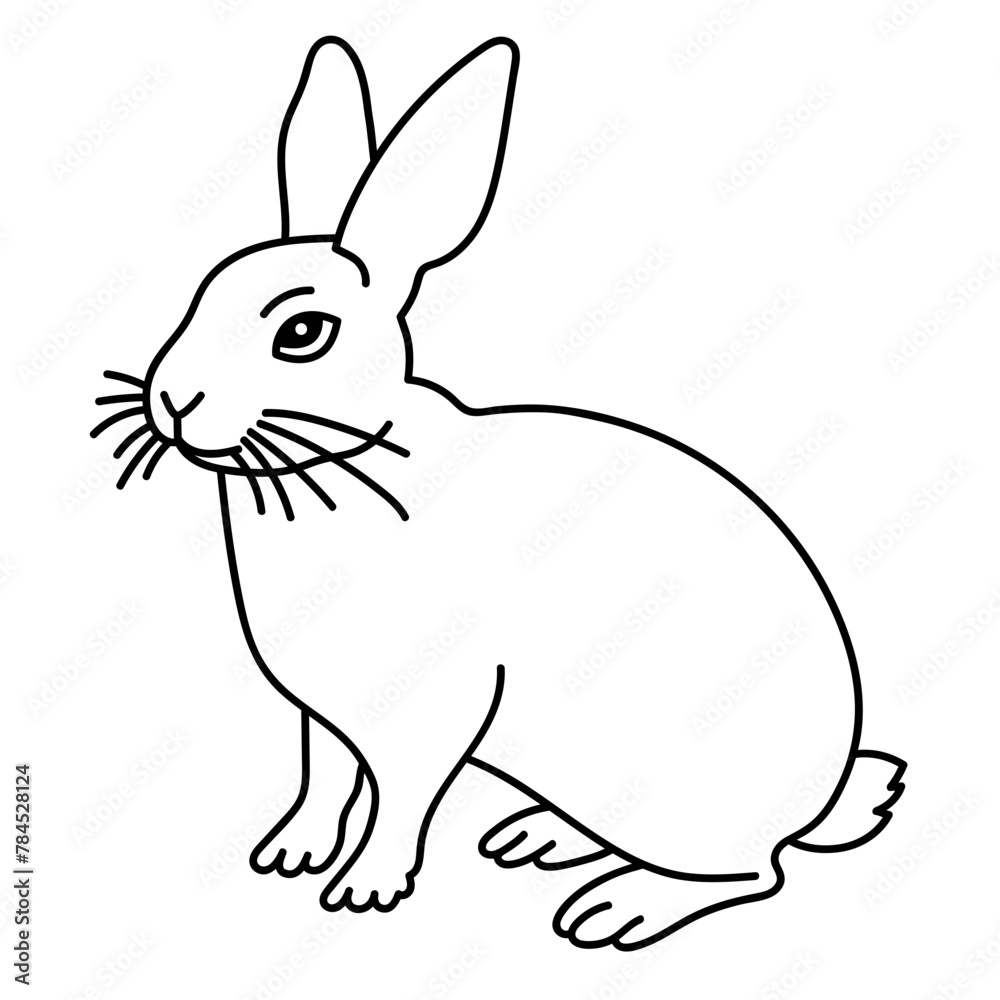 rabbit rabbit