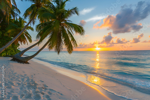 Beach in the Maldives at sunset. Palm trees, sand, sea. Landscape view from the shore. photo