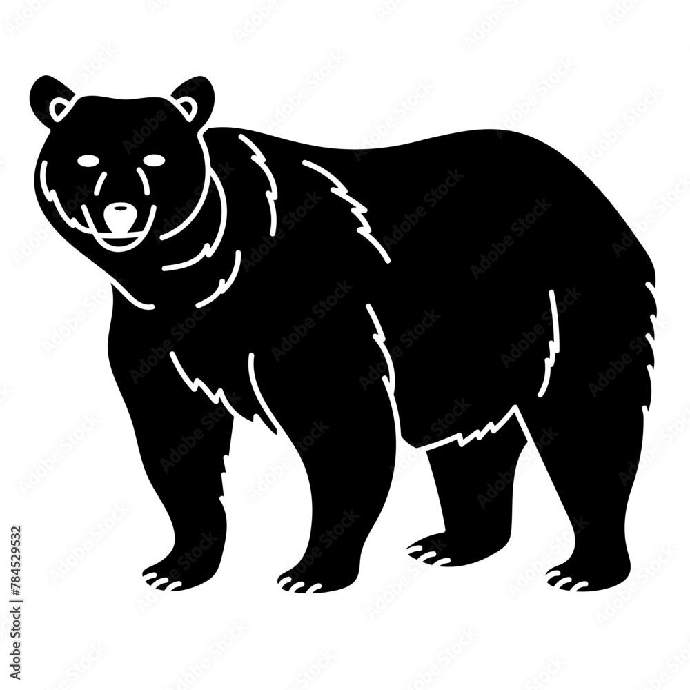 bear bear