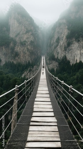 The bridge over the abyss in the fog.