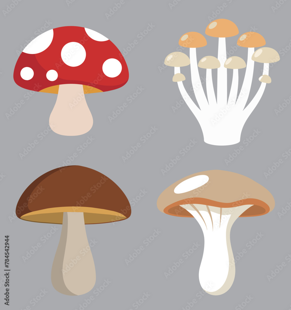 Mushroom vector set. Different types of mushrooms. Vector illustration