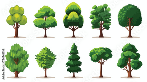 Types of trees icons set. Flat illustration of 9 ty