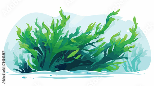 Underwater seaweed spirulina aquatic marine algae p