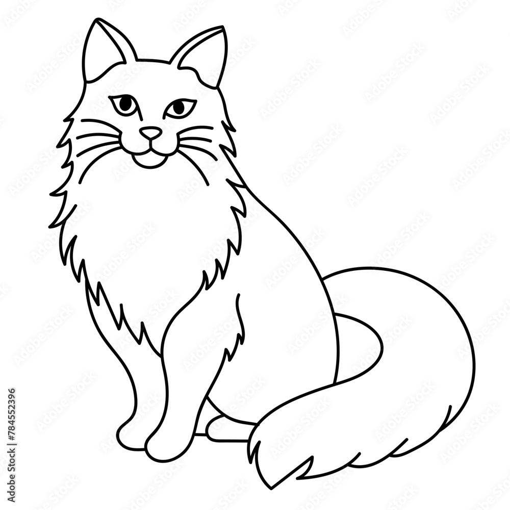 ragdoll ragdoll