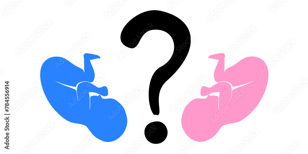 Who have a boy or a girl. Heart question mark isolated on White background. Vector illustration Who have a boy or a girl. Heart question mark isolated on White background. Vector illustration