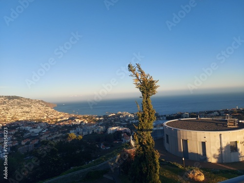 Park, green, nature, outdoor, tree, bushes, sky, clouds, cityescape, cliff, mountains, backgroud, biew, garden, outside, street, blue, calm, peace, portugal, europe, madeira, madeira island photo