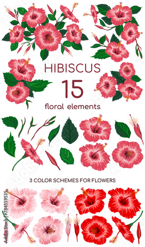 Fifteen floral elements to assemble an indoor hibiscus. Hand drawn parts of a flower