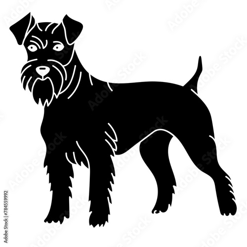 miniature schnauzer