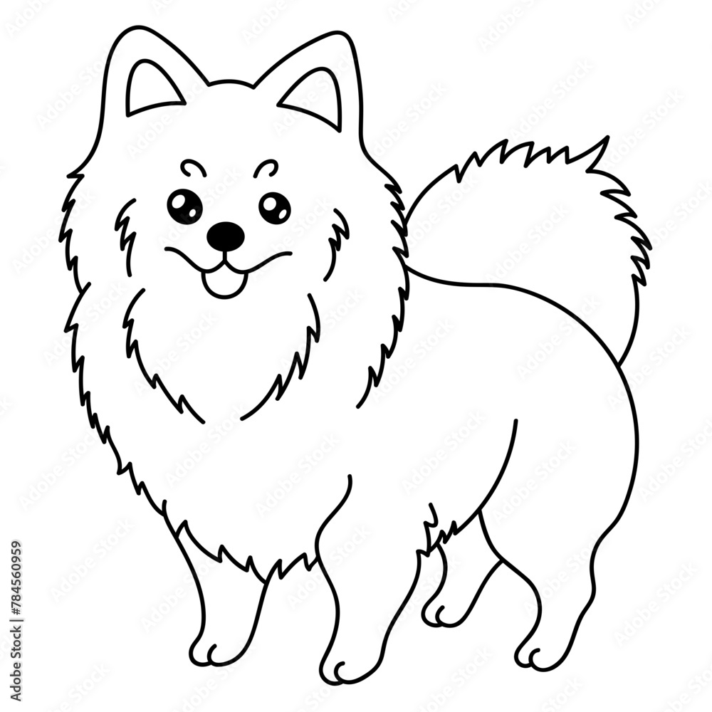 pomeranian pomeranian