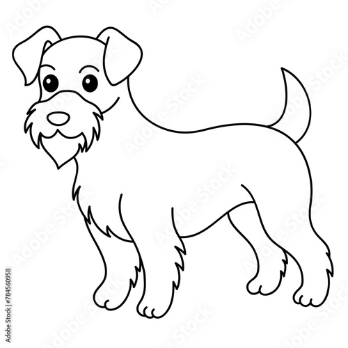 miniature schnauzer