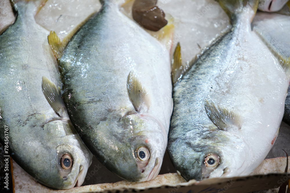 White pomfret is sold in a seafood restaurant in Phan Thiet, Vietnam