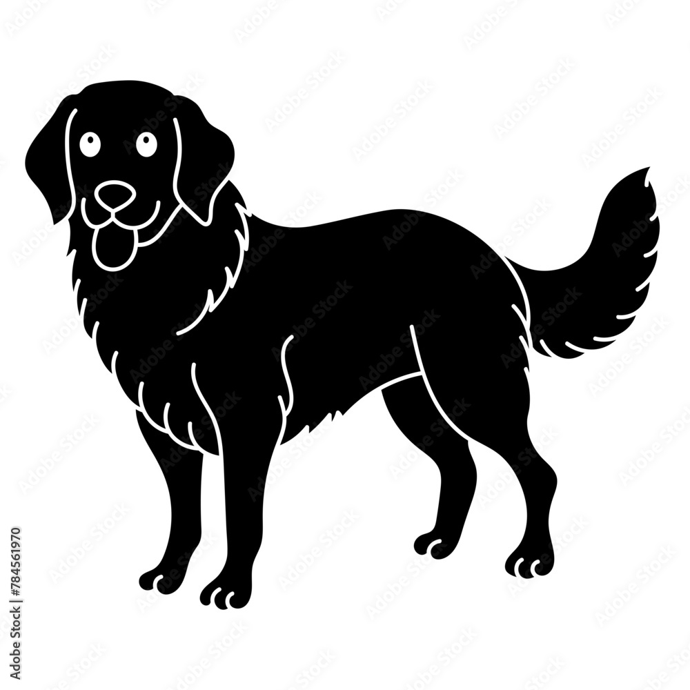 golden retriever golden retriever