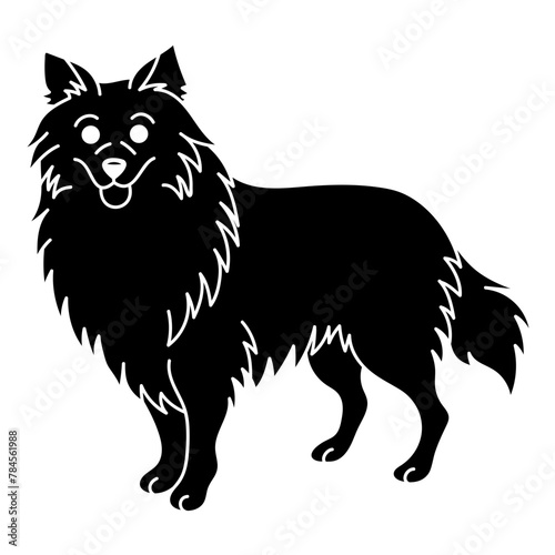 shetland sheepdog