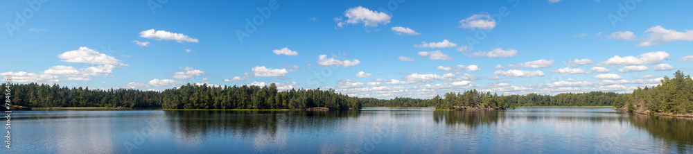 islands on a forest lake in summer