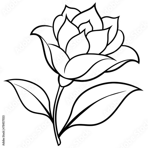    Flower vector illustration with line art.

