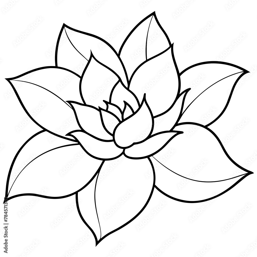 Flower vector illustration with line art.
Flower vector illustration with line art.