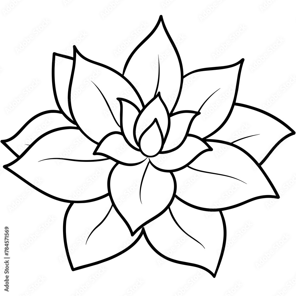 Flower vector illustration.
Flower vector illustration.