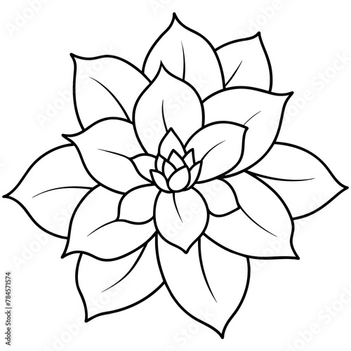    Flower vector illustration.

