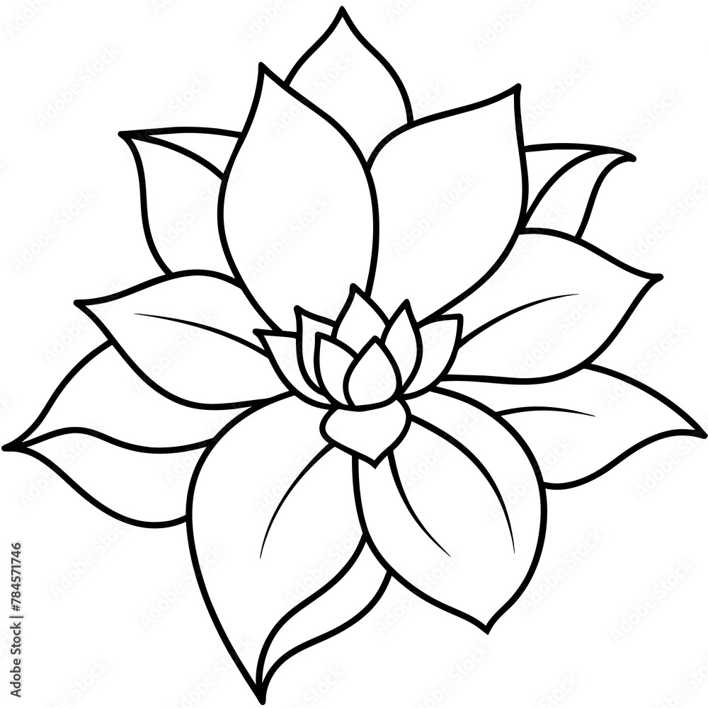 Flower vector illustration.
Flower vector illustration.