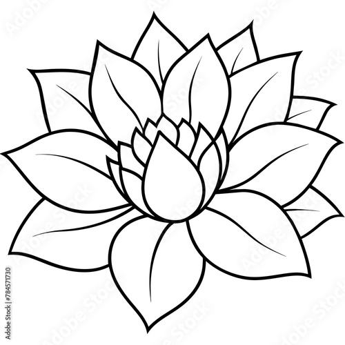  Flower vector illustration. 