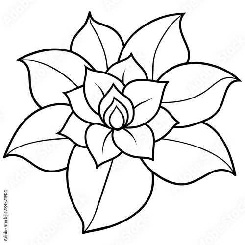  Flower vector illustration. 