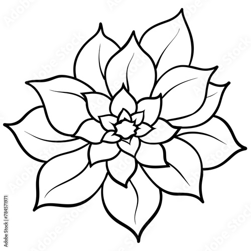  Flower vector illustration with line art.