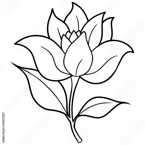    Flower vector illustration with line art.