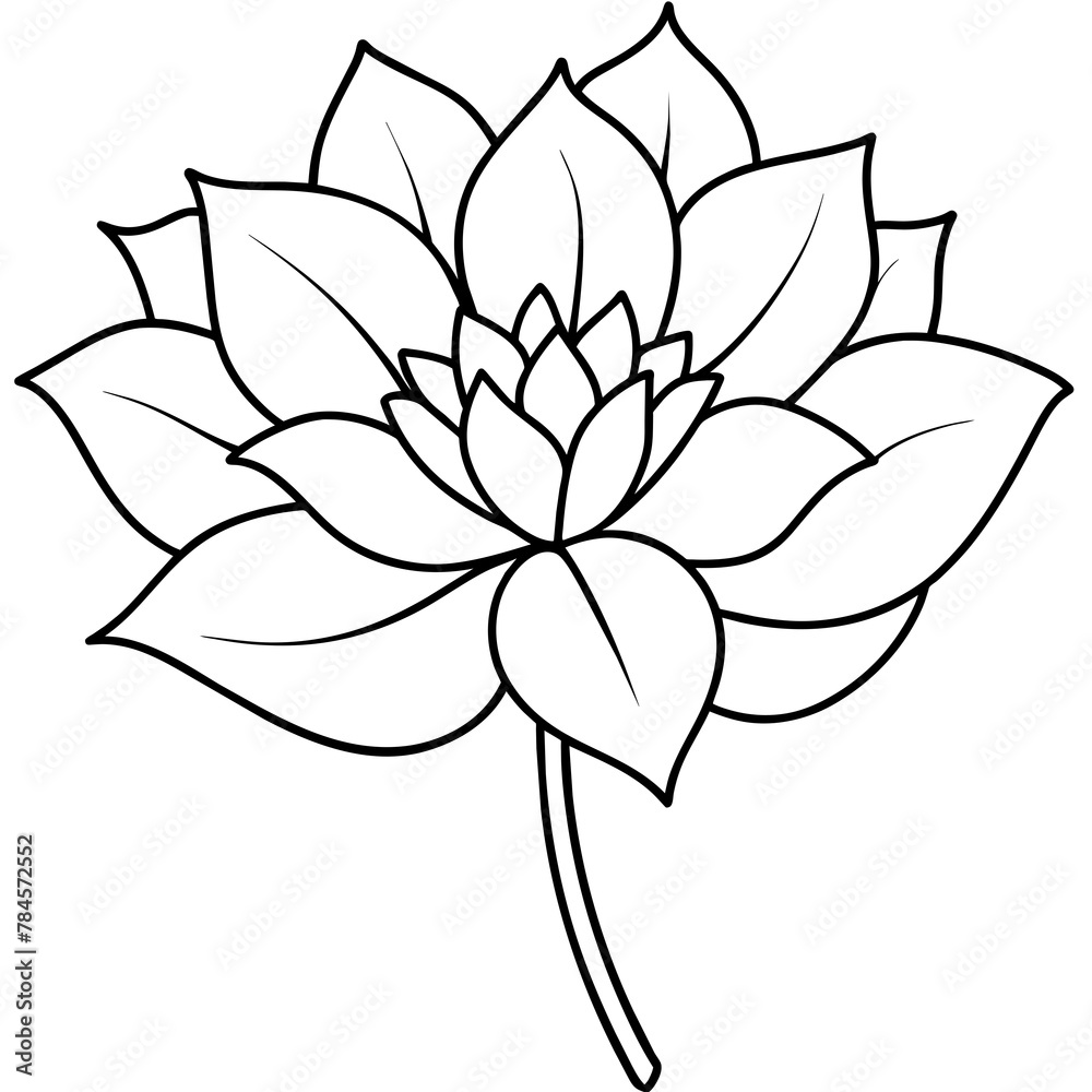 Flower vector illustration with line art.
Flower vector illustration with line art.