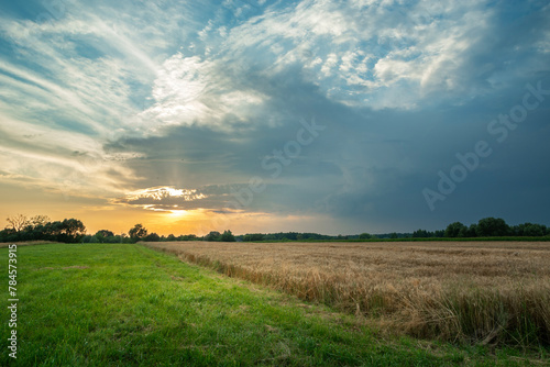 Dark rain cloud over the fields, summer view