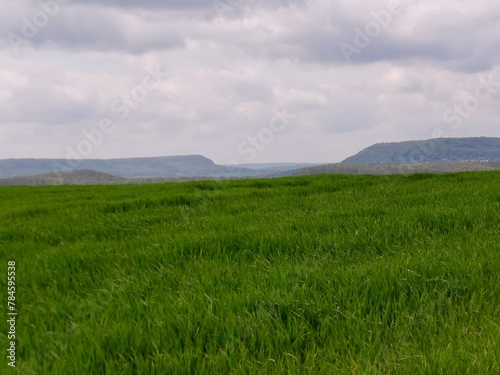 Wanderung bei Wipperdorf photo