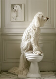 Grand chien blanc assis sur des toilettes dans une pièce toute blanche, boudant