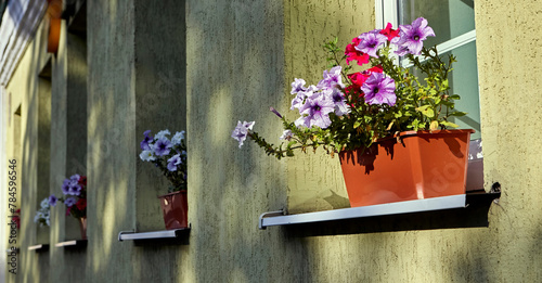 Potted Plant With Purple and Pink Flowers on a Ledge
