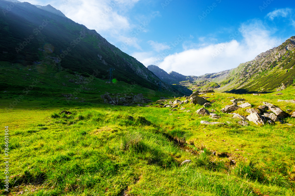 Obraz premium valley of carpathian mountains in morning light. stones on the grassy meadow. fagaras range of romania. beautiful landscape on a sunny summer day