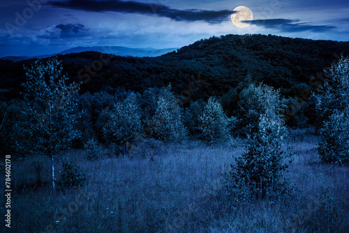 deciduous trees on a grassy meadow at night. magical carpathian landscape in full moon light