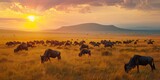 A group of wildebeests grazing, the panoramic savanna landscape stretching into the horizon, with the setting sun casting a warm glow over the distant mountains.