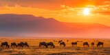 A group of wildebeests grazing, the panoramic savanna landscape stretching into the horizon, with the setting sun casting a warm glow over the distant mountains.