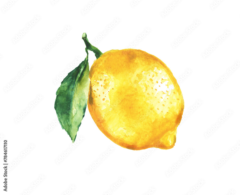 Lemon  on a transparent background , citron, watercolor illustration, lime , fruit, lemons and leaves, citrus