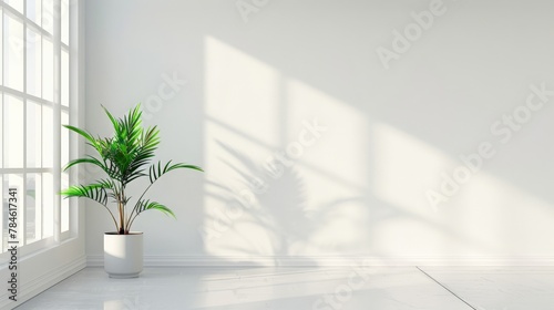 A stark white room with a single, vibrant green plant in the corner, the simplicity of the scene emphasizing the beauty of solitary elements.