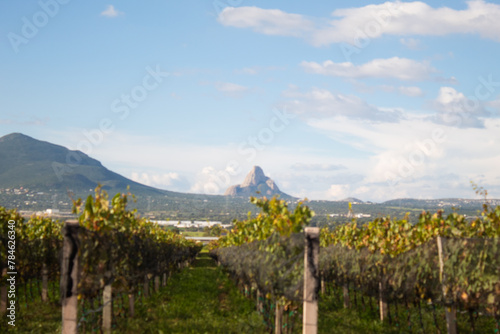 REGIÓN DE VINOS DE QUERETARO MEXICO,