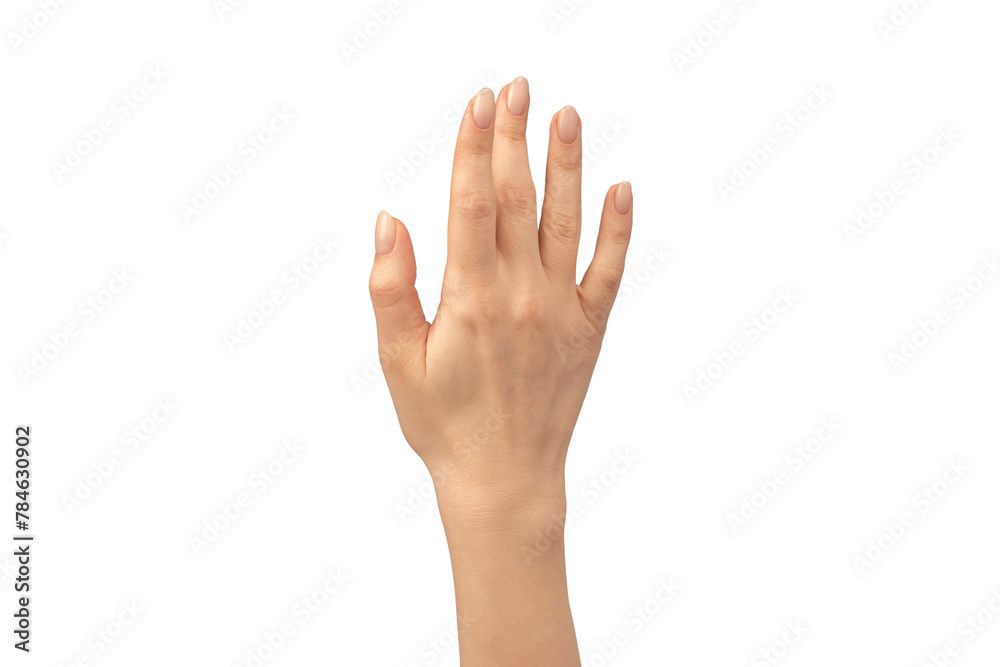 Woman hands isolated on a white background. Nude nail polish. Woman hands isolated on a white background. Nude nail polish.