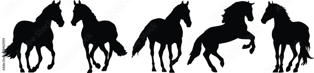 Fototapeta premium Horse silhouette vector set Isolated On White Background