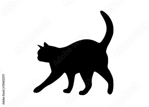 The silhouette of a cat walking from right to left. Vector illustration.