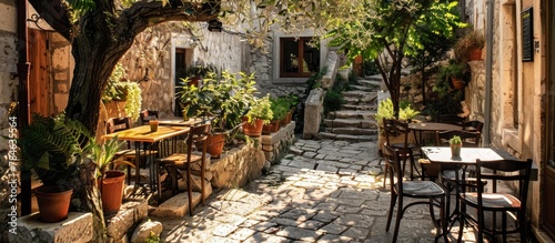 Olive trees and potted herbs create a Mediterranean garden atmosphere in Croatian cafes.
