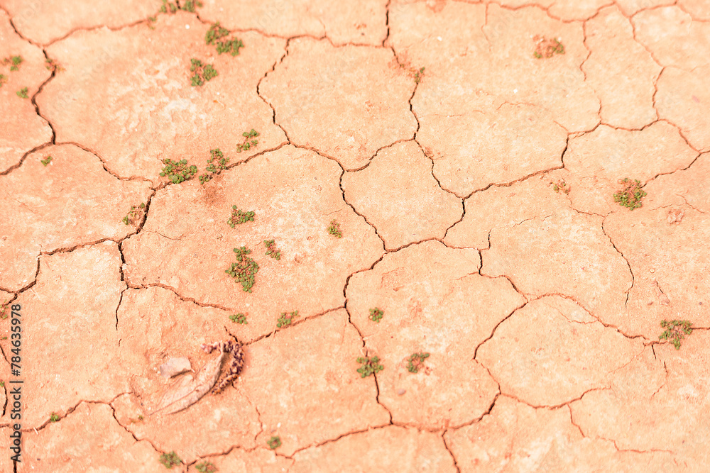 Fototapeta premium Background texture of mud floor with cracks due to lack of water. Climate change concept