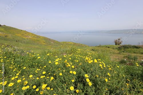 Lake Kinneret. The lake's coastline is the lowest landmass on Earth © shimon